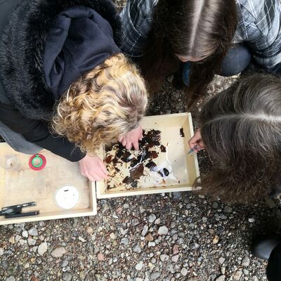 Bild vergr&ouml;&szlig;ern: Exkursion_Lachsbach_Bild3