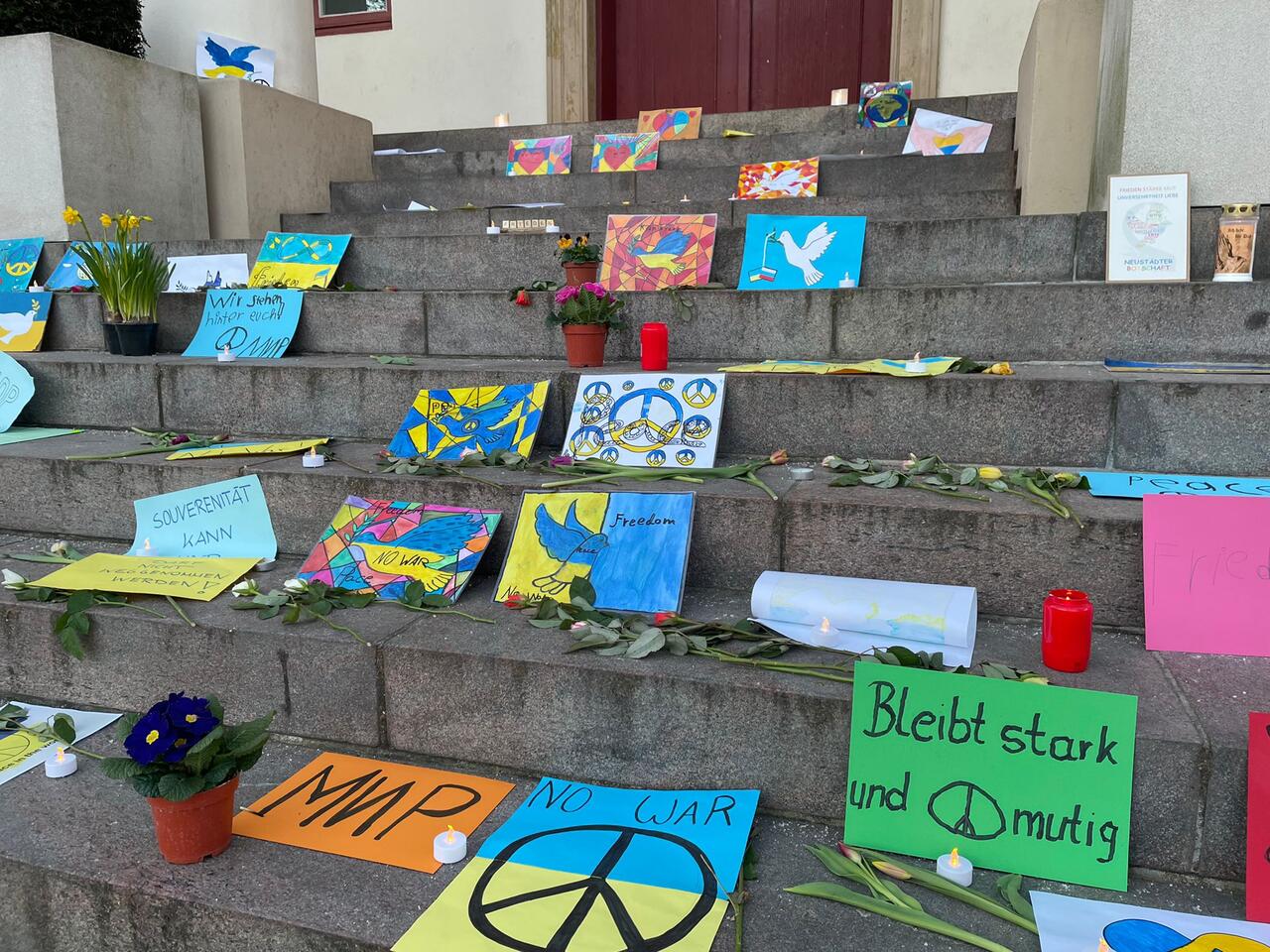 Bild vergr&ouml;&szlig;ern: Stop War